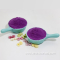 Supply organic purple sweet potato powder